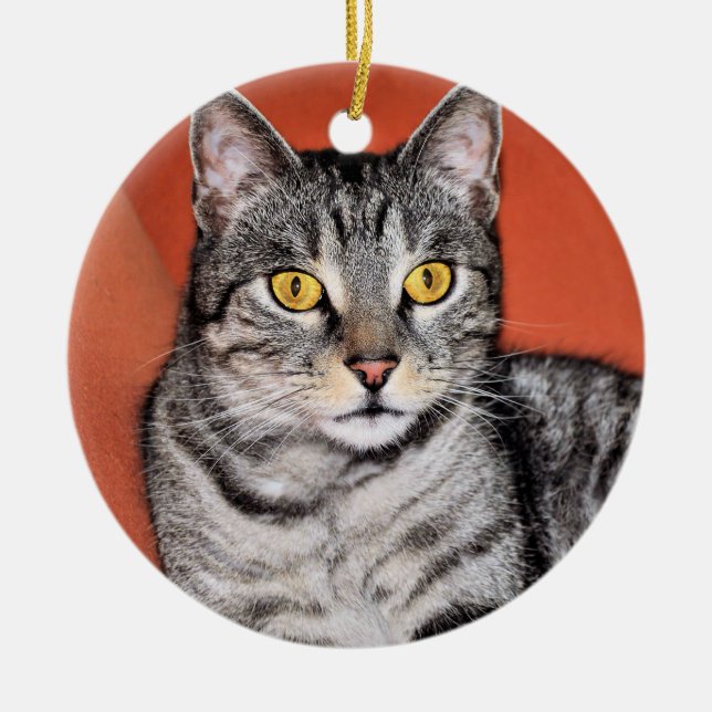 Cute Gray Cat Portrait Ceramic Tree Decoration (Front)