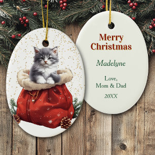 Cute Gray Kitten Christmas Gift Bag Ceramic Tree Decoration