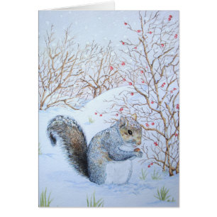 cute gray squirrel snow scene wildlife
