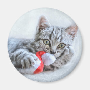 Cute Gray Tabby Cat w/ Christmas Hat Xmas Magnet