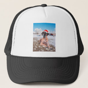 Cute Great Dane Dog Sitting In Snow Christmas Hat