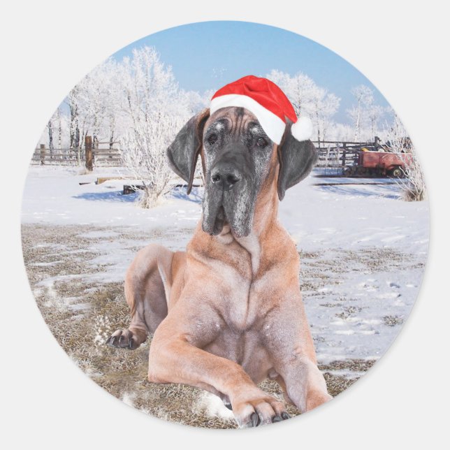 Cute Great Dane Dog Sitting In Snow Christmas Hat Classic Round Sticker (Front)
