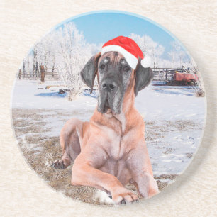Cute Great Dane Dog Sitting In Snow Christmas Hat Coaster