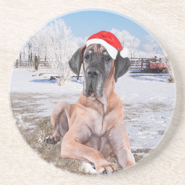 Cute Great Dane Dog Sitting In Snow Christmas Hat Coaster (Front)