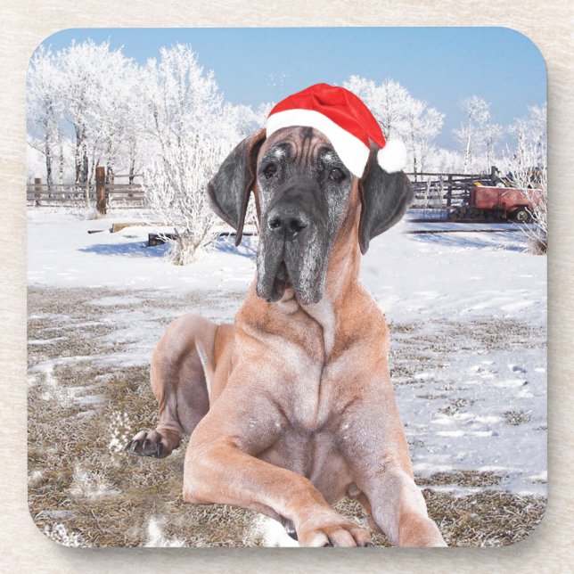 Cute Great Dane Dog Sitting In Snow Christmas Hat Coaster (Front)
