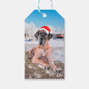 Cute Great Dane Dog Sitting In Snow Christmas Hat Gift Tags