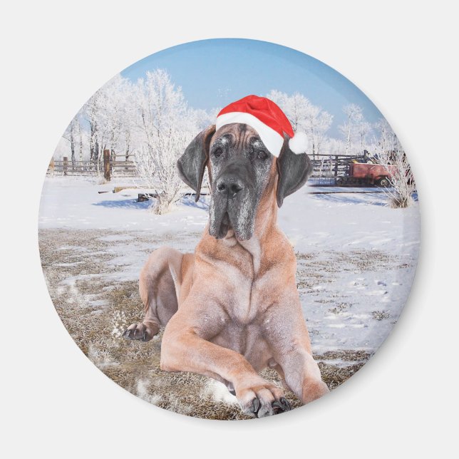 Cute Great Dane Dog Sitting In Snow Christmas Hat Magnet (Front)
