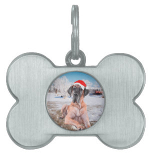 Cute Great Dane Dog Sitting In Snow Christmas Hat Pet Tag