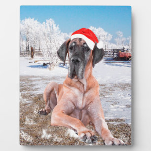 Cute Great Dane Dog Sitting In Snow Christmas Hat Plaque