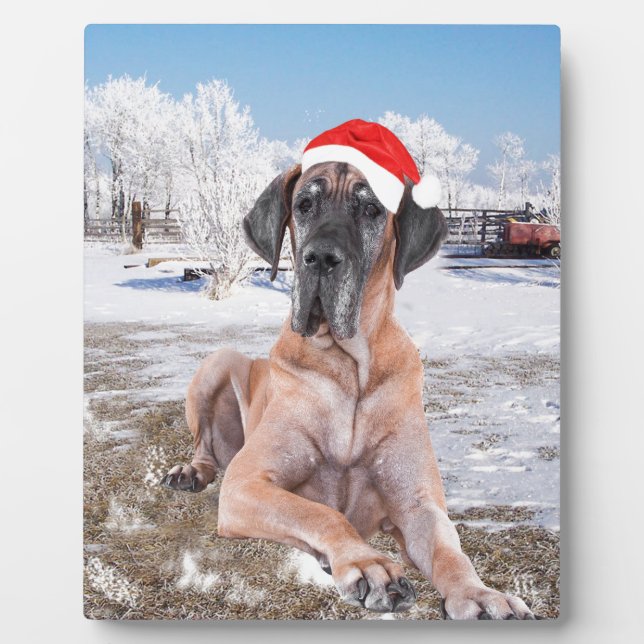 Cute Great Dane Dog Sitting In Snow Christmas Hat Plaque (Front)