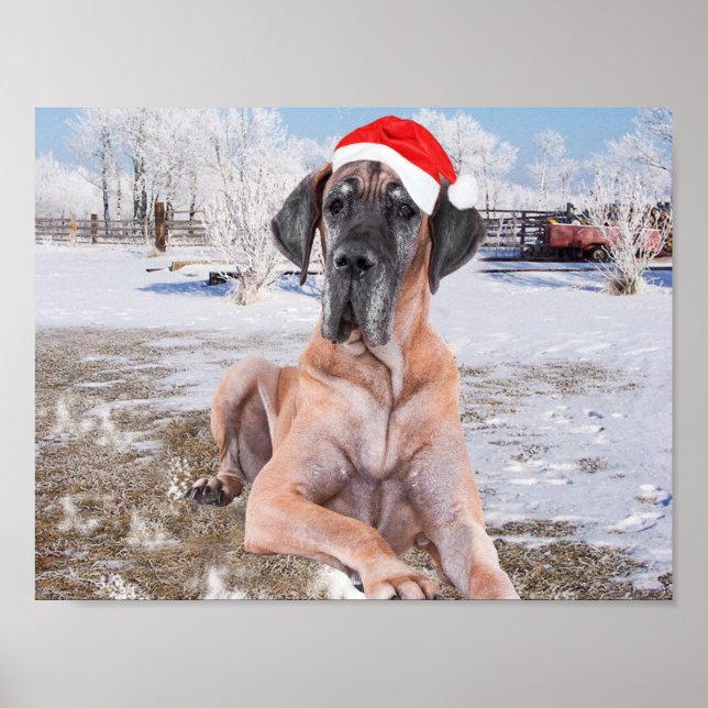 Cute Great Dane Dog Sitting In Snow Christmas Hat Poster (Front)