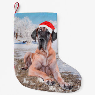 Cute Great Dane Dog Sitting In Snow Christmas Hat Small Christmas Stocking