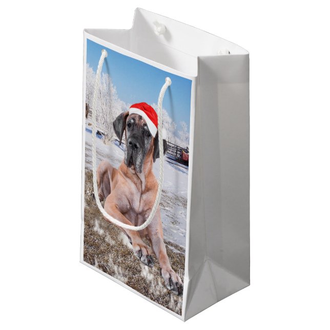 Cute Great Dane Dog Sitting In Snow Christmas Hat Small Gift Bag (Front Angled)