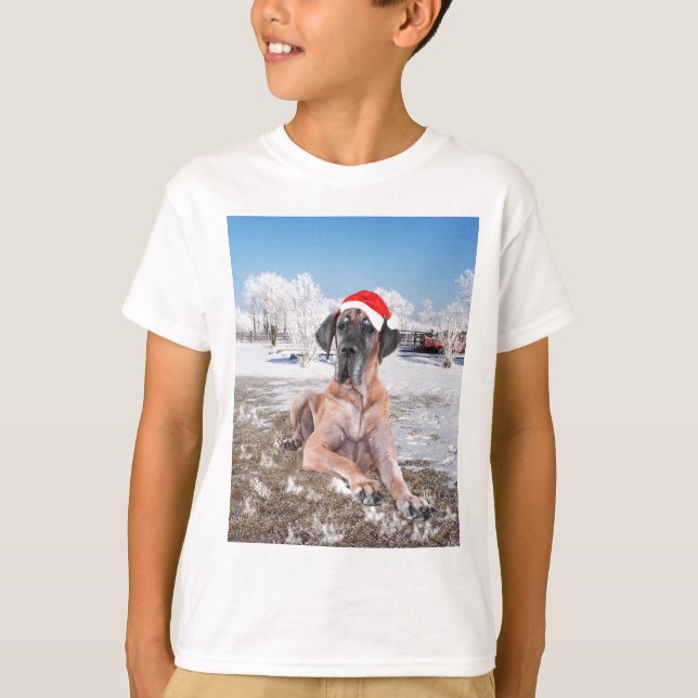Cute Great Dane Dog Sitting In Snow Christmas Hat T-Shirt (Front)