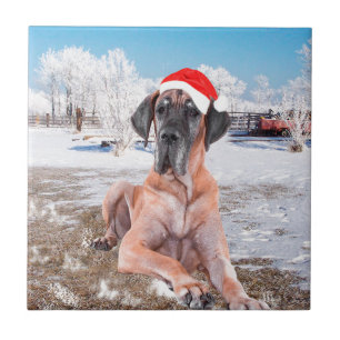 Cute Great Dane Dog Sitting In Snow Christmas Hat Tile