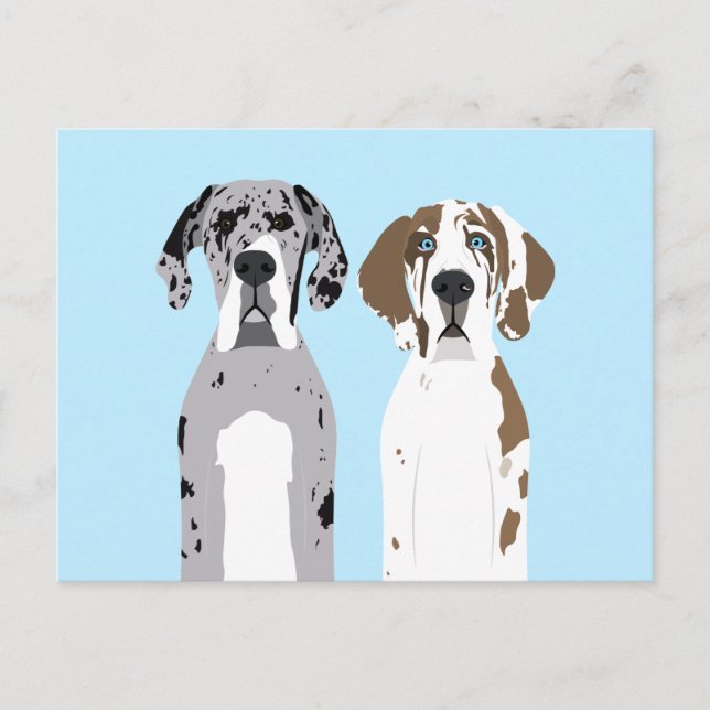Cute Great Dane Dogs Blue Postcard (Front)
