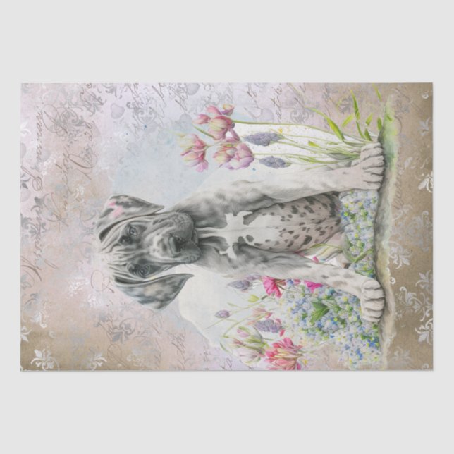 Cute Great Dane Puppy Dog Tissue Paper (Front)
