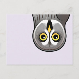 Cute Great Grey Owl Postcard