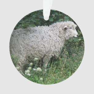 Cute Greedy Sheep Eating Acrylic Ornament