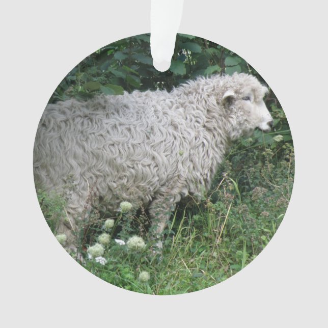 Cute Greedy Sheep Eating Acrylic Ornament (Front)