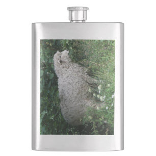 Cute Greedy Sheep Eating Flask