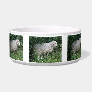 Cute Greedy Sheep Eating Pet Bowl