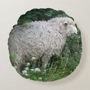 Cute Greedy Sheep Eating Pillow
