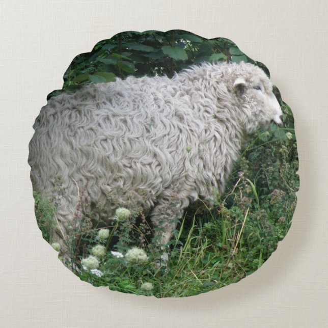 Cute Greedy Sheep Eating Pillow (Front)