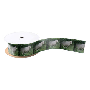 Cute Greedy Sheep Eating Ribbon Satin Ribbon