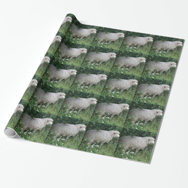 Cute Greedy Sheep Eating Wrapping Paper (Unrolled)