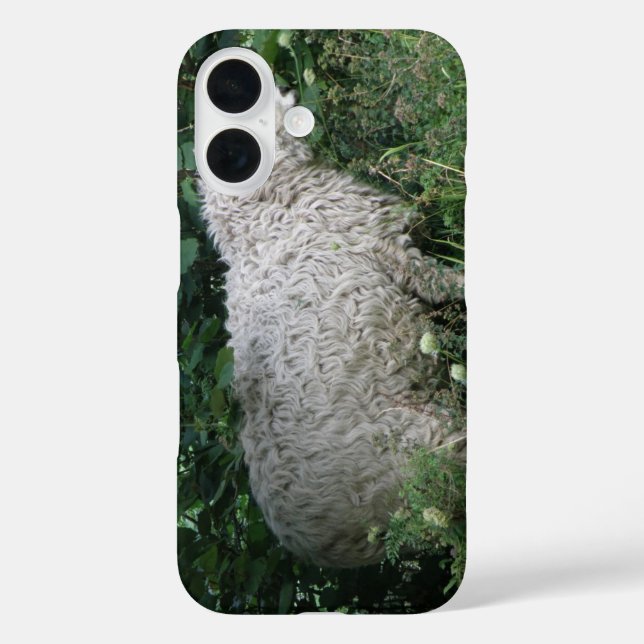 Cute Greedy Sheep iPhone Case (Back)