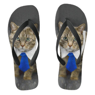 Cute green-eyed brown tabby cat wearing a blue tie flip flops