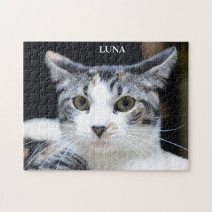 Cute Green Eyed Calico Cat Portrait Jigsaw Puzzle