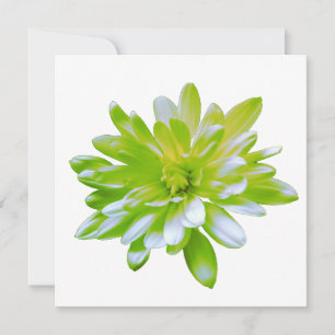 Cute green floral green flower green daisy invitation