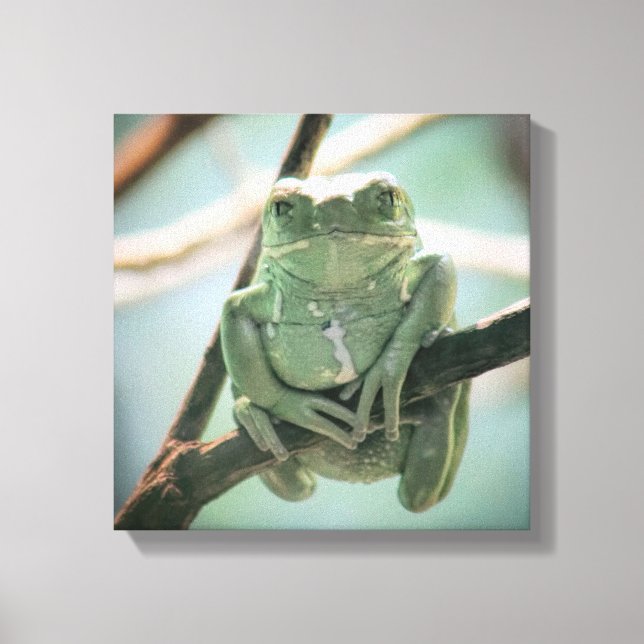 Cute Green Frog Sitting on a Branch Canvas Print (Front)