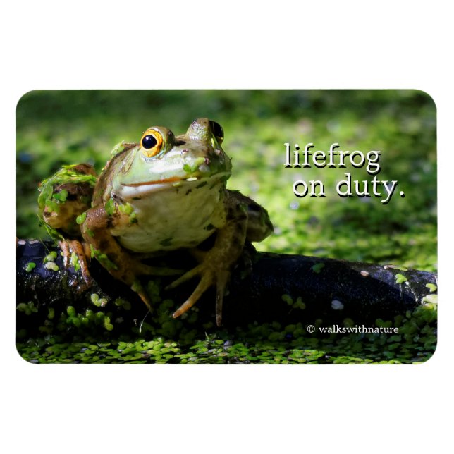 Cute Green Frog Strikes a Pose on the Hose Magnet (Horizontal)