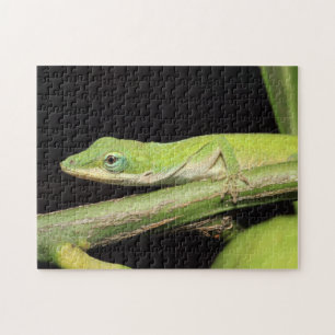 Cute Green Garden Anole Lizard Nature Wildlife Jigsaw Puzzle