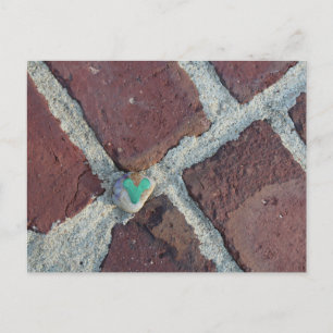 Cute Green Heart Rock on Pella, Iowa Brick Postcard