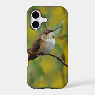 cute green Hummingbird yellow background
