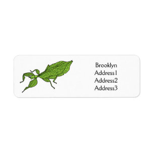 Cute green leaf insect cartoon illustration
