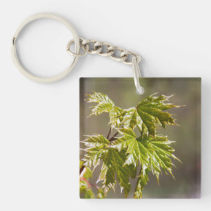 Cute green maple branch with small leaves key ring