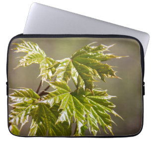 Cute green maple branch with small leaves laptop sleeve