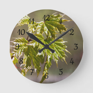 Cute green maple branch with small leaves  round clock