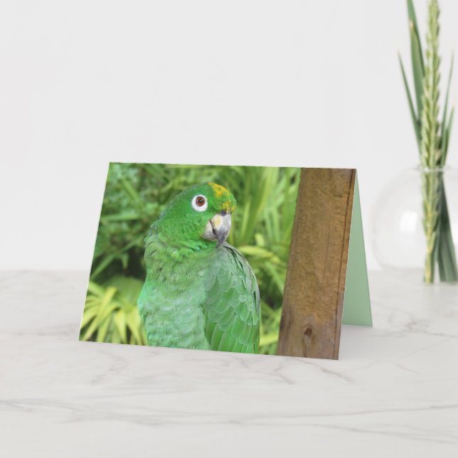 Cute Green Parrot Greeting Card (Front)