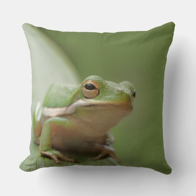 Cute Green Tree Frog Decorative Wildlife Cushion (Front)