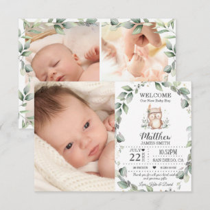 Cute Greenery Owl New Baby Boy Photo Collage Birth Announcement
