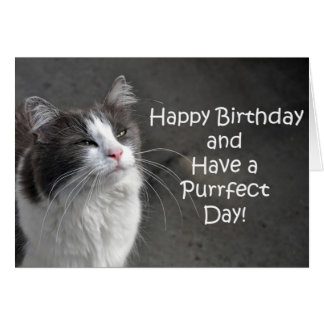 Grey Cat Greeting Cards | Zazzle.co.uk