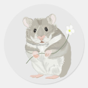 Cute Grey and White Hamster Holding a Flower  Classic Round Sticker