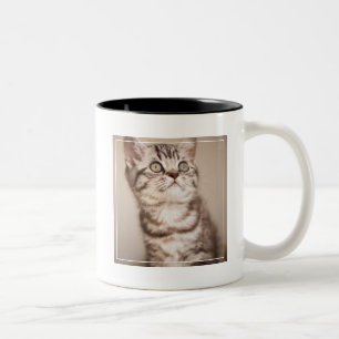 Cute Grey British Short Hair Kitten (Blue Tabby) Two-Tone Coffee Mug