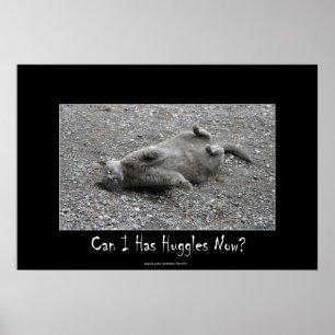 Cute Grey Cat Funny Huggles Poster